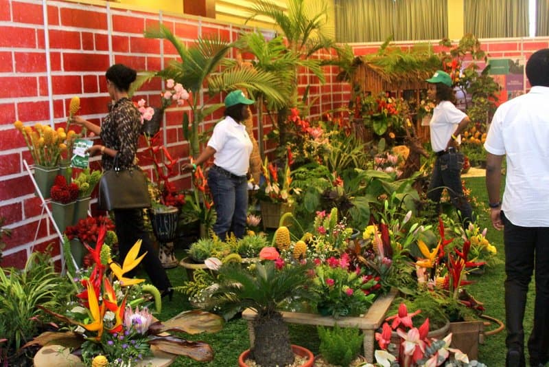 Gardening & Landscaping